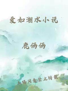 爱如潮水小说