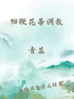 细鞭花蒂调教