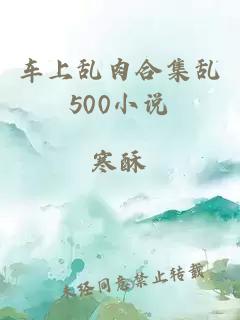 车上乱肉合集乱500小说