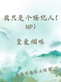 我只是个经纪人(NP)